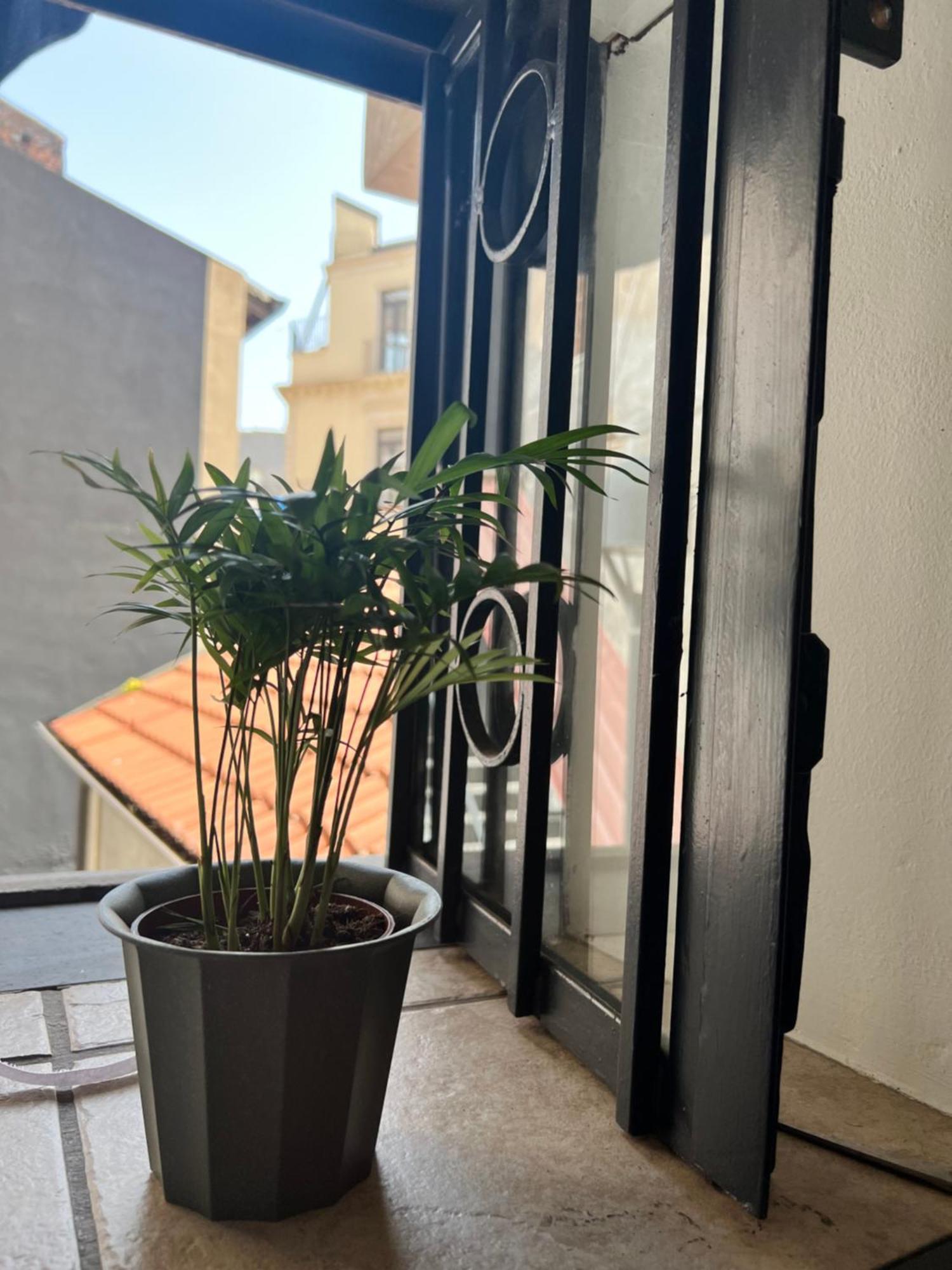 Catania,Sicilia,Italia Barcaioli'S Home ภายนอก รูปภาพ